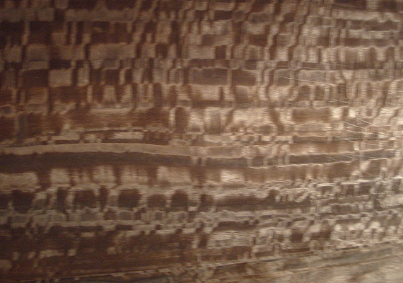 Eucalipto frisé affumicato - essenza legno ELITWOOD srl