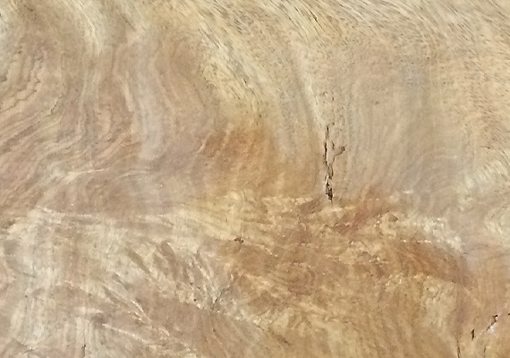 Piuma Cerejeira - essenza legno ELITWOOD srl